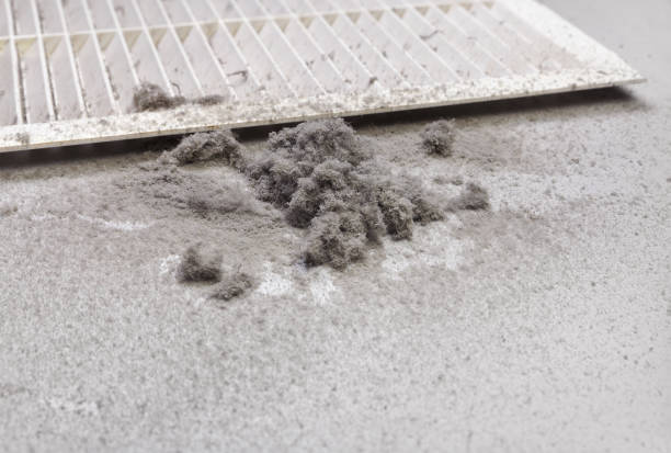 Best Air Duct Cleaning Near Me  in Hampstead, NC