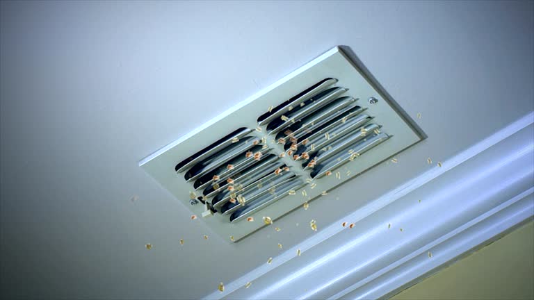 Ductwork Cleaning Services in Hampstead, NC