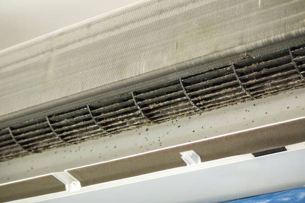 Best HVAC Duct Inspection Services  in Hampstead, NC